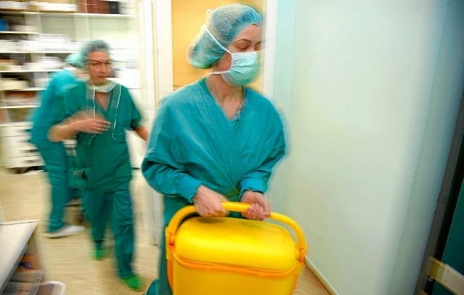 Holanda: aprobaron una ley que convierte a todos los ciudadanos en donantes de órganos | Internacionales