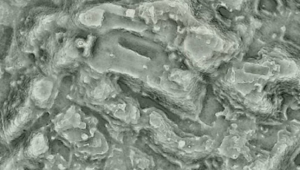 México: descubren una ciudad milenaria con tantos edificios como Manhattan | Internacionales