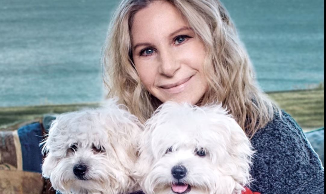 Barbra Streisand extrajo células de perrita muerta y clonó a dos cachorritas | Espectáculos