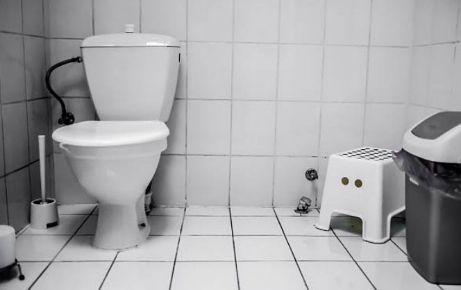 Un estudio científico reveló por qué hay que cerrar la tapa del inodoro antes de tirar la cadena | Curiosidades