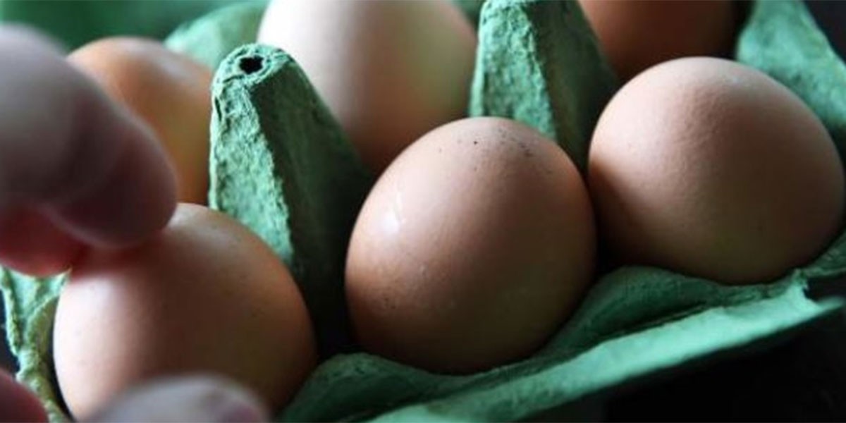 El misterioso caso de un huevo con sorpresa que revoluciona las redes | Redes