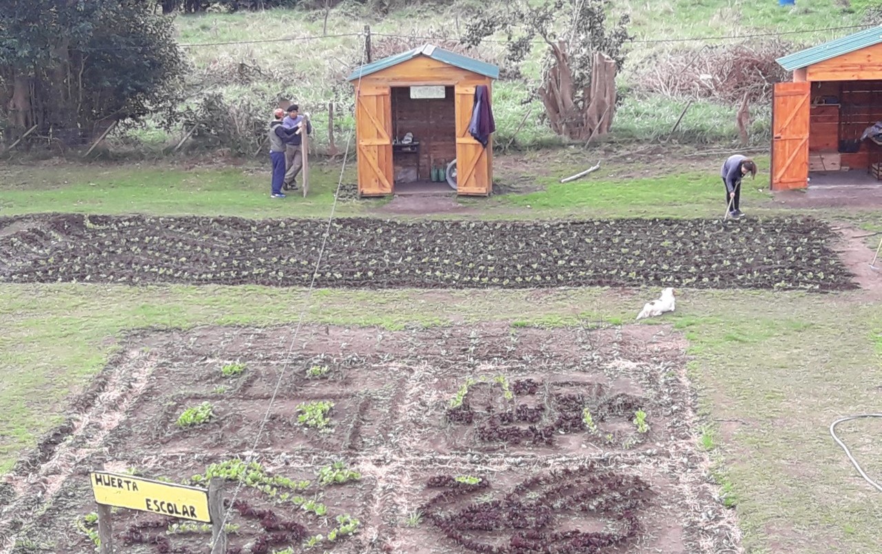 Alumnos producen verduras que luego donan a un hogar de ancianos municipal | Actualidad