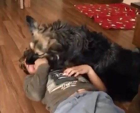 Esta perra ayuda a su dueño con autismo y conmueve a todos | Redes