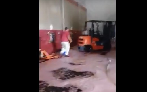 Video viral: se derramaron cientos de litros de vino por el descuido de un empleado de una bodega | Redes
