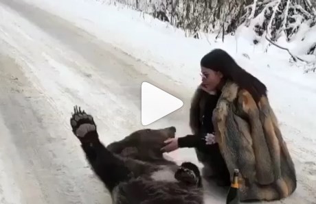 ¿Puede ser real?: una joven borracha le da una sesión de masajes a un oso en la nieve | Redes