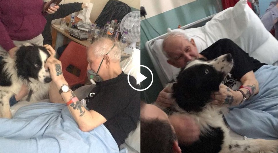 Video pura emoción: el anciano que se reencontró con su perro antes de morir en el hospital | Redes