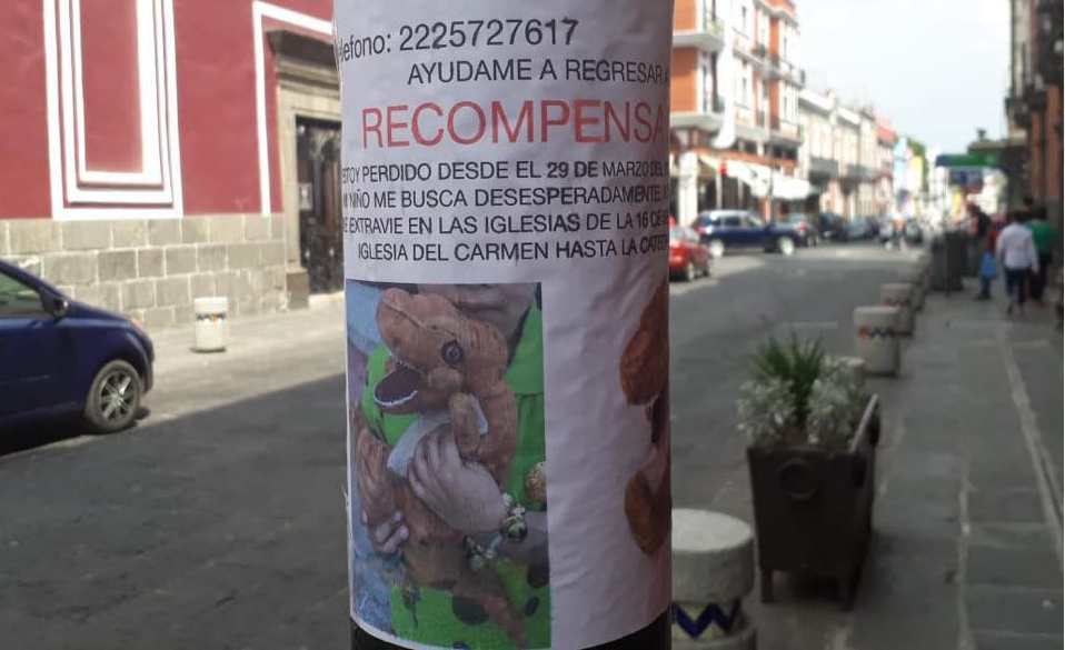 El viral más tierno: un nene ofrece una recompensa para encontrar su peluche perdido | Redes