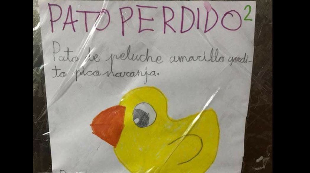 El viral que nos enternece: una nena perdió su patito de peluche y dibujó un cartel para encontrarlo | Redes