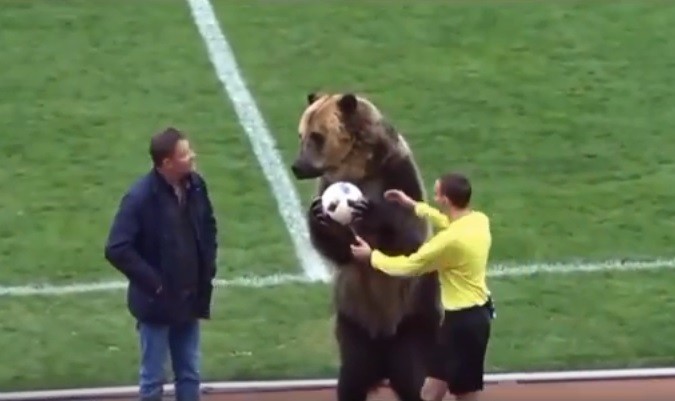 Video: oso "futbolista" genera enojo en las redes sociales | Deportes