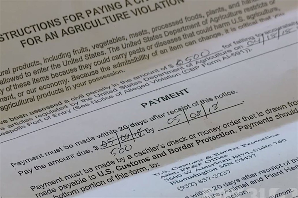 Una mujer deberá pagar una multa de US$500 por quedarse con una manzana que le dieron en un vuelo | Internacionales