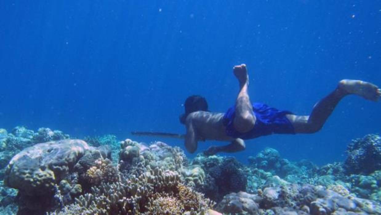 Los cambios genéticos de la tribu de Los Bajau: pueden estar hasta 13 minutos bajo el agua | Curiosidades