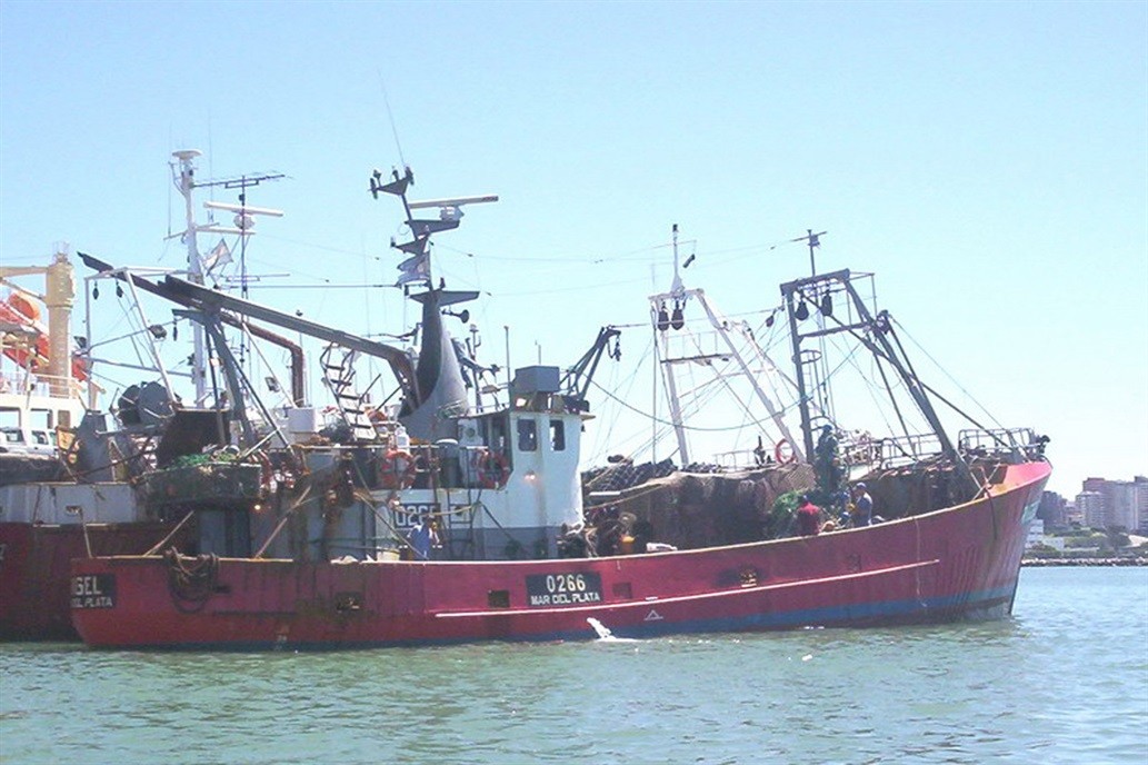 Chubut: hallaron un cuerpo en la zona en donde buscan al pesquero desaparecido | Actualidad