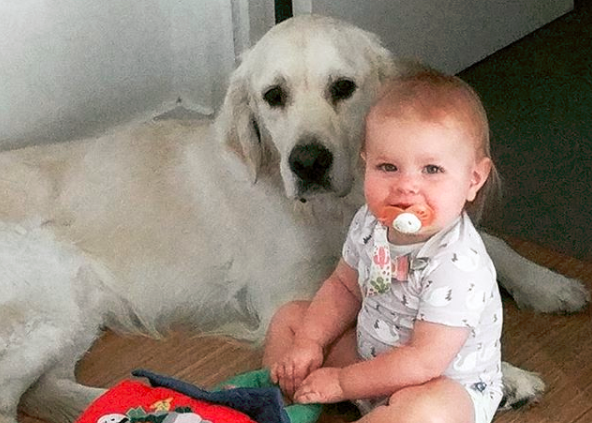 Pusieron una cámara en el cuarto de su beba y descubrieron cómo se fugaba cada noche de su cama | Redes