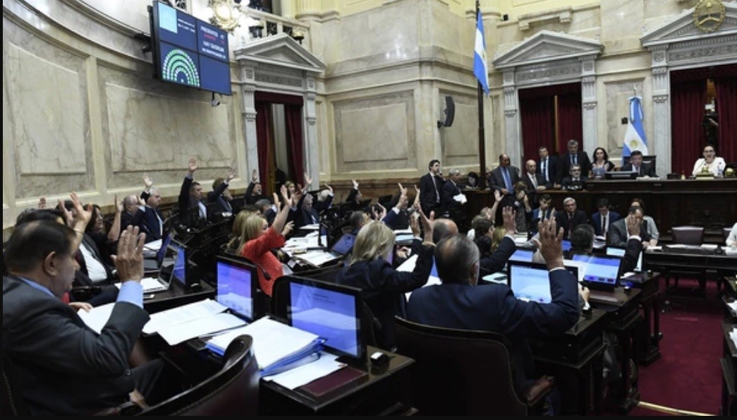 El proyecto de aborto llega al Senado, donde enfrenta gran oposición | Política