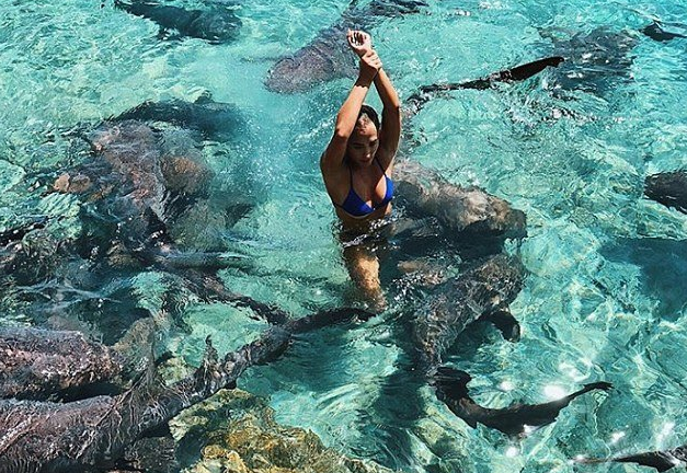 Fotos: una modelo se quiso sacar una foto con tiburones y fue atacada por uno de ellos | Redes