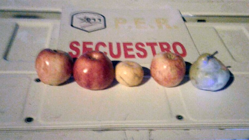 Paraná: detuvieron a dos adolescentes por robar tres manzanas, una mandarina y una pera | Actualidad
