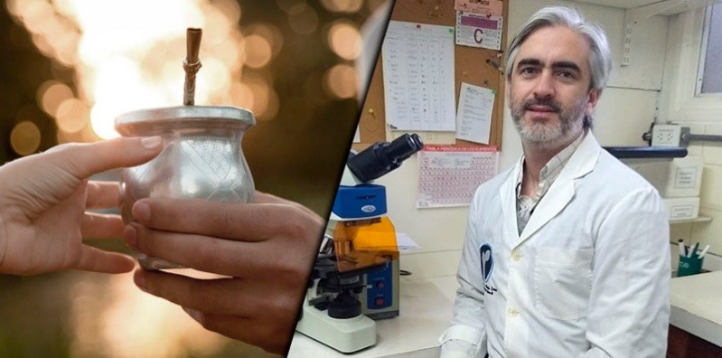 Premio para científico rosarino que estudia el efecto de la yerba en los huesos | Actualidad