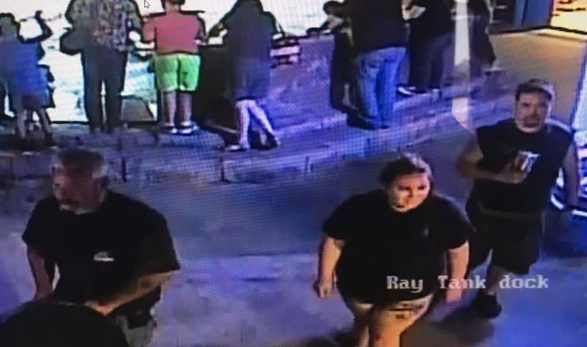 Robo insólito: se llevaron una cría de tiburón dentro de un cochecito de bebé | Curiosidades