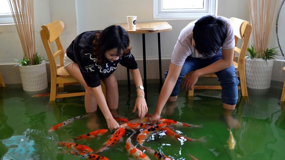 Tomar café entre peces, con el agua por los tobillos | Curiosidades