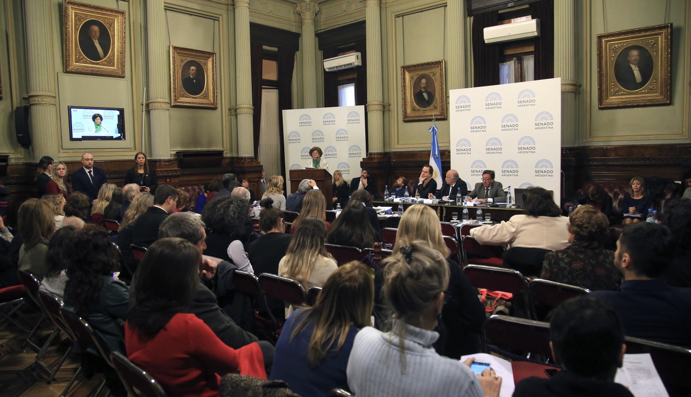 Un senador radical anunció que votará en contra de la legalización del aborto | Política