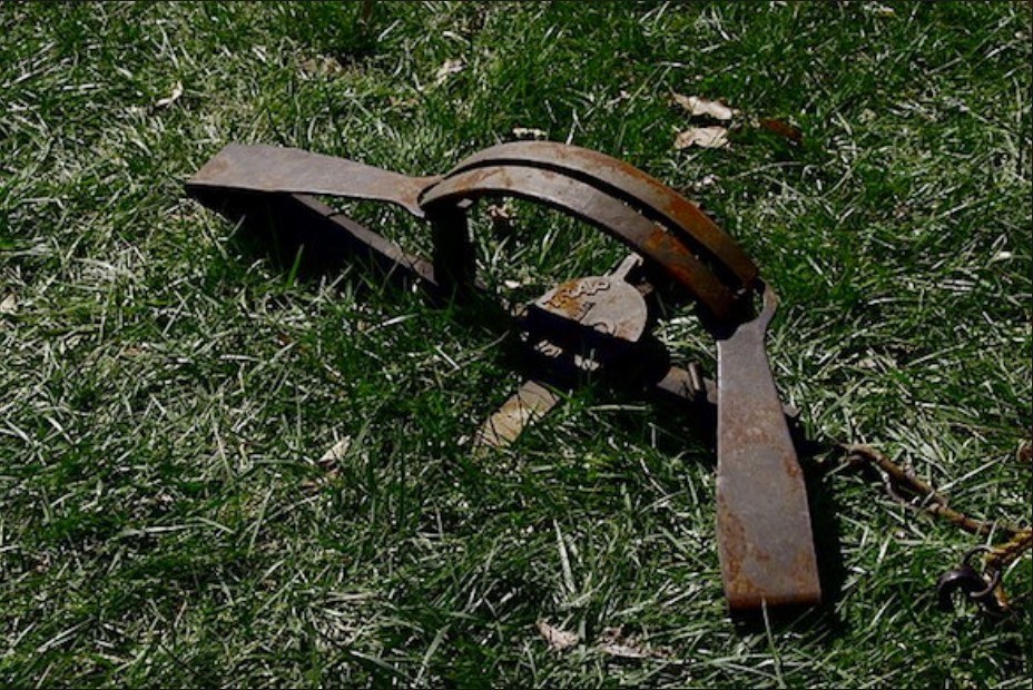 Sobrevive dos semanas en el bosque atascado en una trampa para jabalíes | Curiosidades