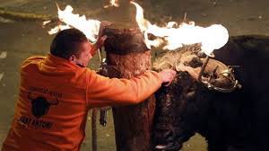 Video: un toro con los cuernos en llamas embistió a una mujer | Curiosidades