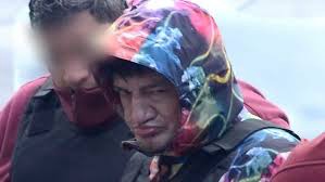 Encontraron una cucaracha viva en el oído de Pity Álvarez | Espectáculos