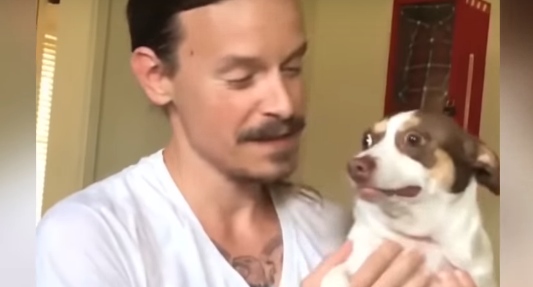 El perro que odia que lo besen y es furor en las redes sociales | Redes