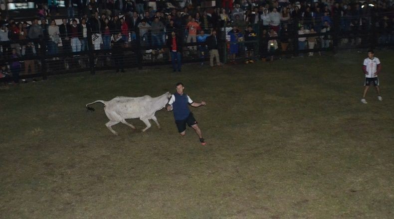 "Fútbol boi": el deporte paraguayo que incluye una vaca y sorprende al mundo | Curiosidades