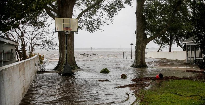 La furia del huracán Florence: filman a delfines nadando entre las casas | Internacionales