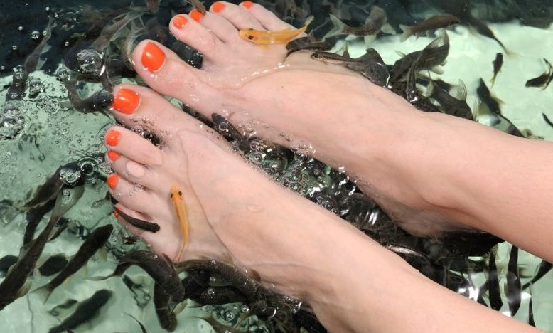 Se hizo un tratamiento en un spa de peces y terminó con todos los dedos de un pie amputados | Curiosidades
