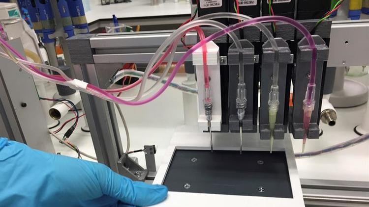 Crearon "piel electrónica" que responde al tacto de manera similar a la humana | Tecno