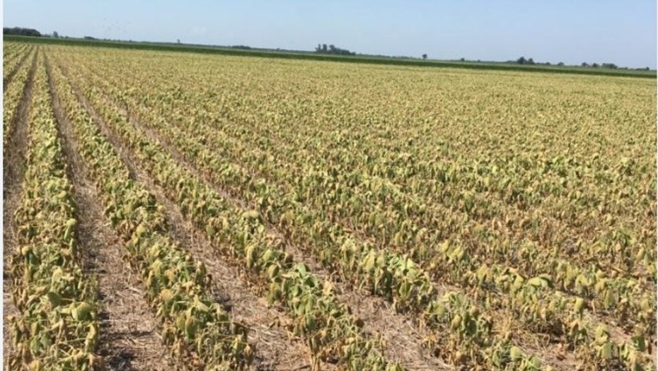 Dato del INDEC: la economía cayó 4,2% en el segundo trimestre | Economía