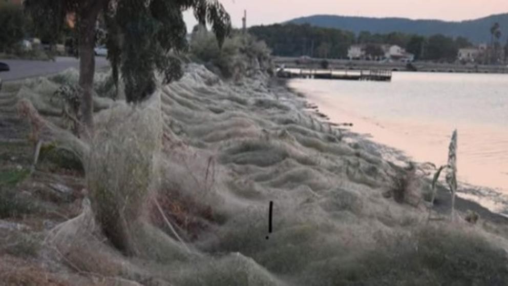 La extraña razón por la cual un pueblo griego apareció rodeado por una telaraña gigante | Curiosidades