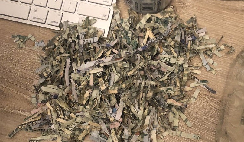 El caso del nene que trituró los ahorros de su familia | Redes