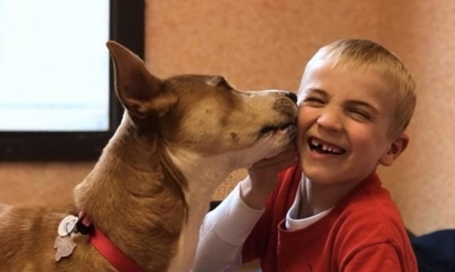 La historia del nene que salvó de morir a 1200 perros | Curiosidades