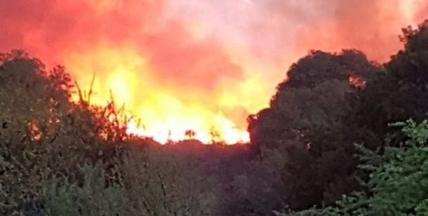 Impactante tornado de fuego en Córdoba | Actualidad