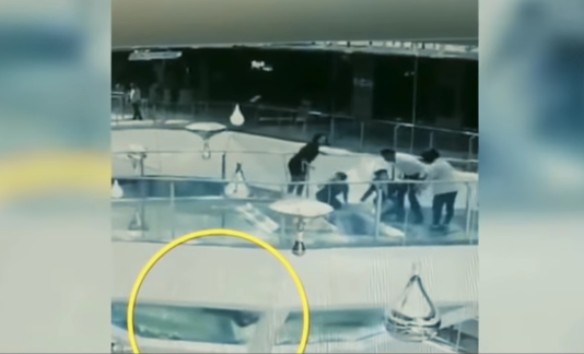 Video de terror: una mujer cayó a un tanque de tiburones cuando iban a ser alimentados | Redes