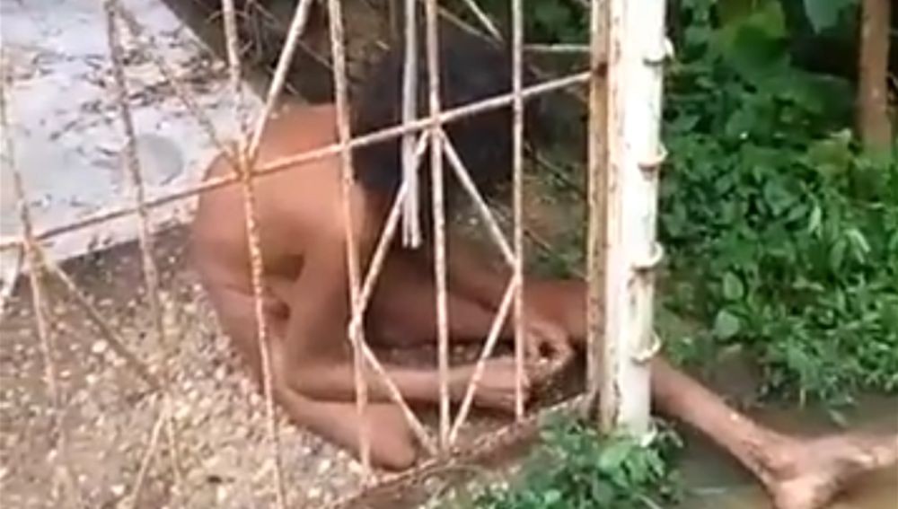 Una mujer sin una pierna fue rescatada tras estar encerrada 15 años en una jaula | Internacionales