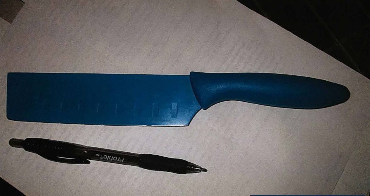 Detenidas en la escuela: tras ver una película de terror, planearon matar a compañeras y tomar su sangre | Internacionales