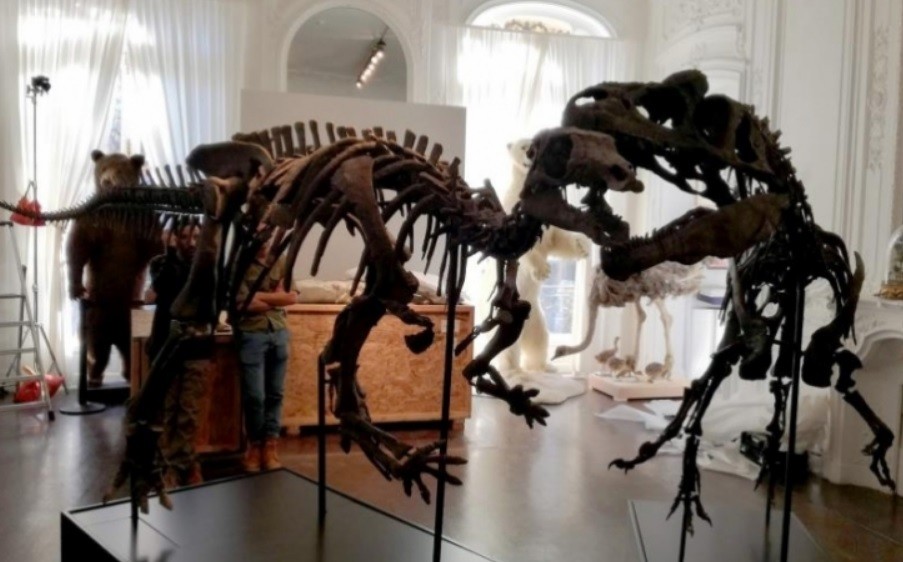Subasta de dinosaurios en París | Internacionales