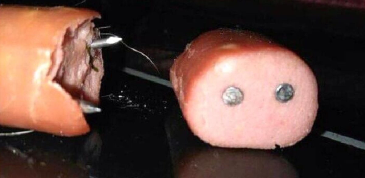 La carta viral del veterinario que salvó a un perro que había comido carne con clavos en un parque | Redes