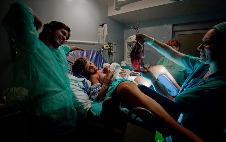 Crearon una placenta artificial para investigar anomalías en el embarazo | Internacionales