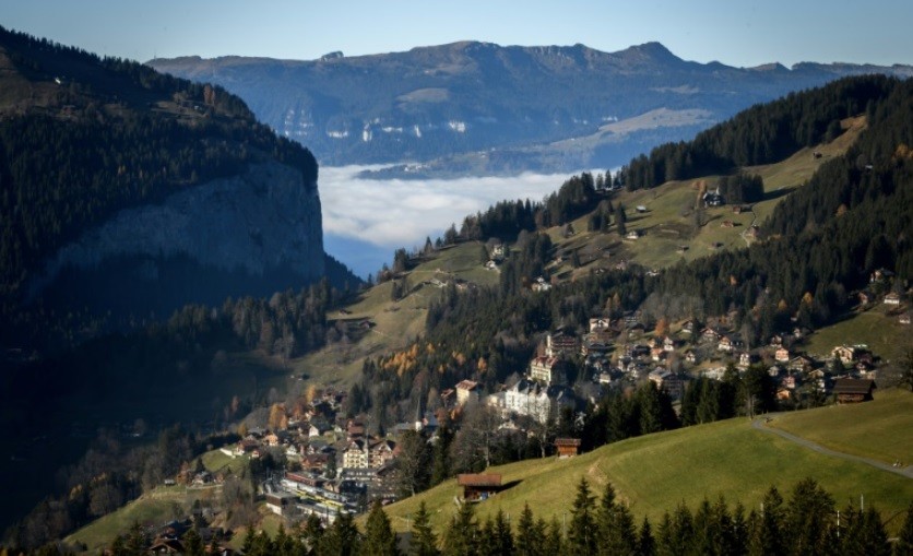 Se detuvo a orinar y su auto cayó a un precipicio | Curiosidades