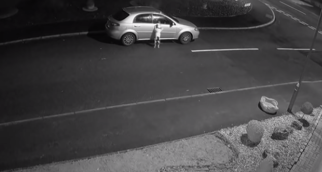 Qué cruel: abandonó a su perro en la calle y el animal lo persiguió, intentando detener el auto | Redes