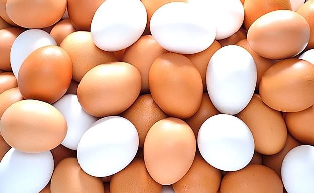 Argentina cayó en el ránking mundial de consumo de huevos | Curiosidades