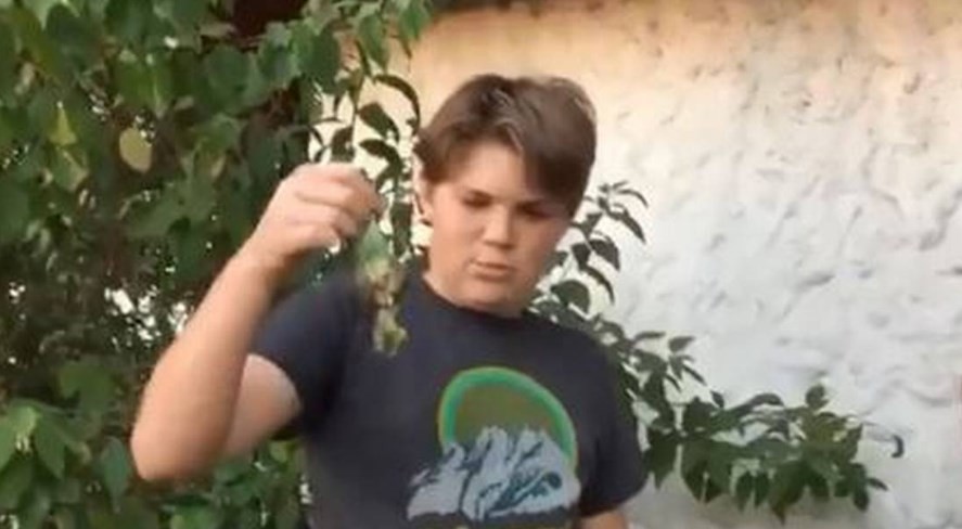 Los memes del video viral del funeral de Chimuelo | Redes