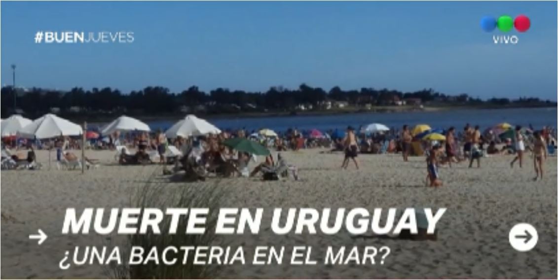 Un hombre de 50 años murió en un balneario de Uruguay por una bacteria en el mar | Actualidad