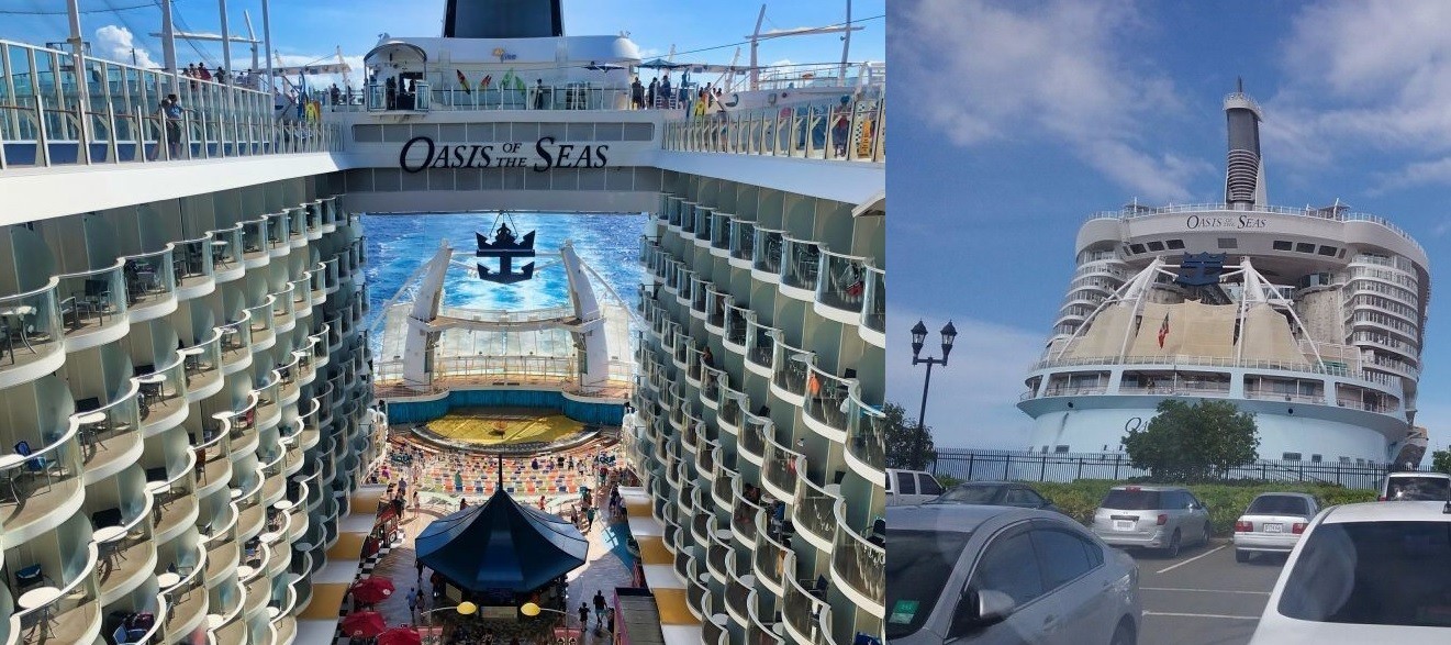 Llantos, vómitos y caos en un crucero de lujo: 277 personas contrajeron un virus | Internacionales