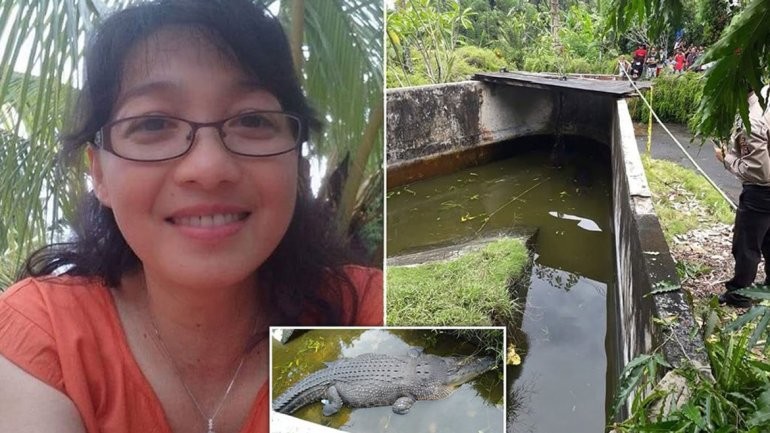 Horror en Indonesia: un cocodrilo se devoró a una científica que lo estaba alimentando | Internacionales